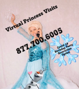 Virtual Princess Parties, Princess Video Calls
