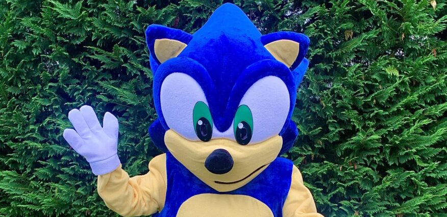 Hire Sonic for a Birthday Party